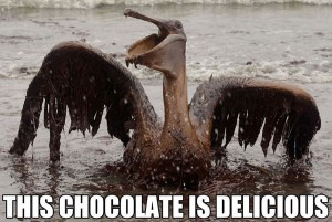 This Chocolate Is Delicious BP Oil Spill Bird